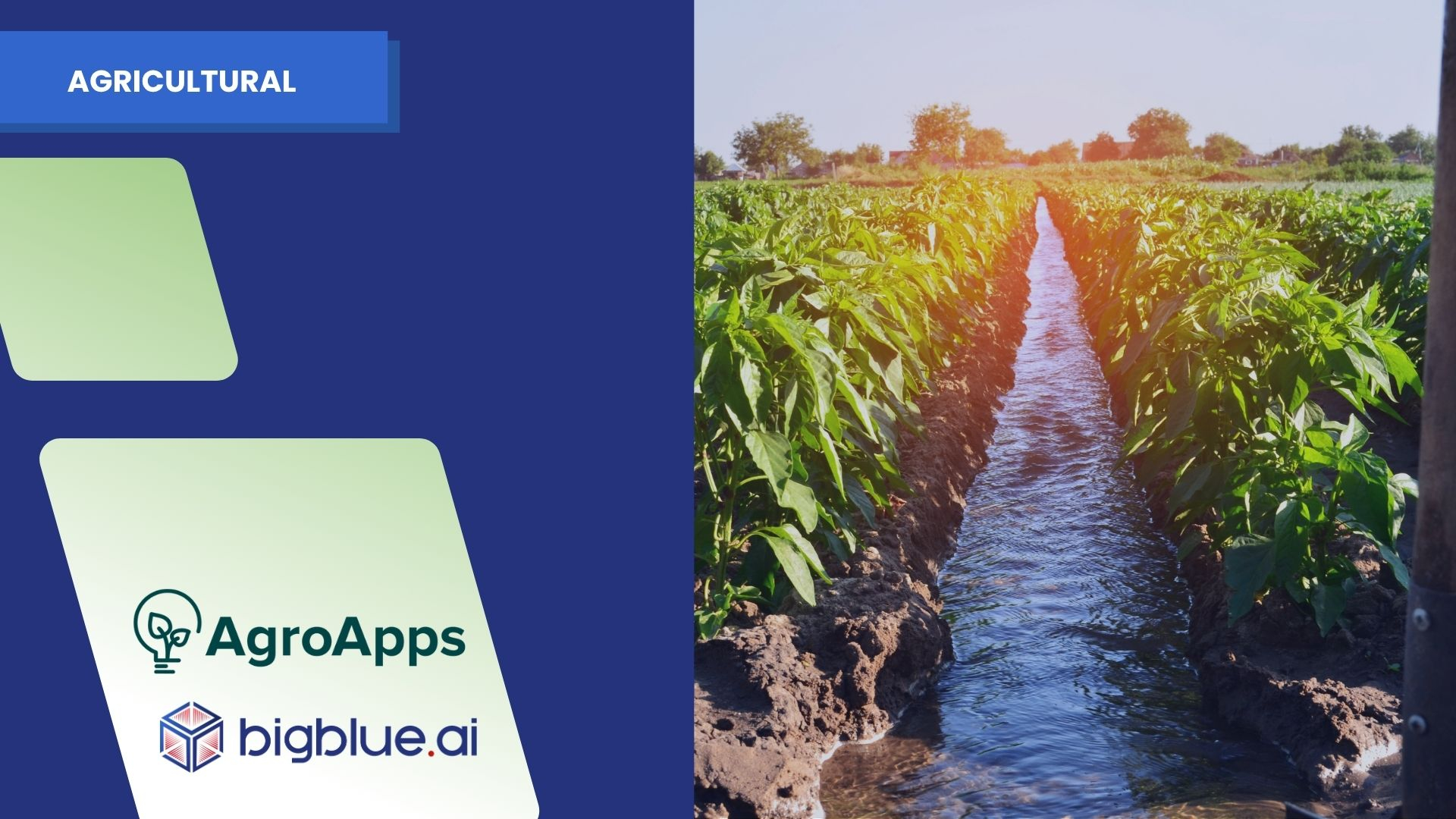Detecting Agricultural Water Use through Satellite and Climate Analytics